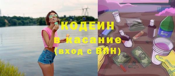сатива Ельня
