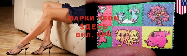 сатива Ельня