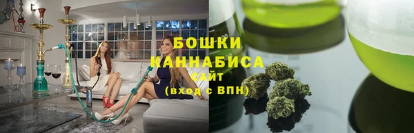 сатива Ельня