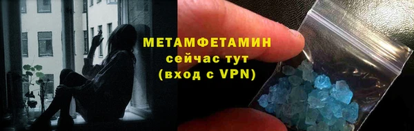 сатива Ельня