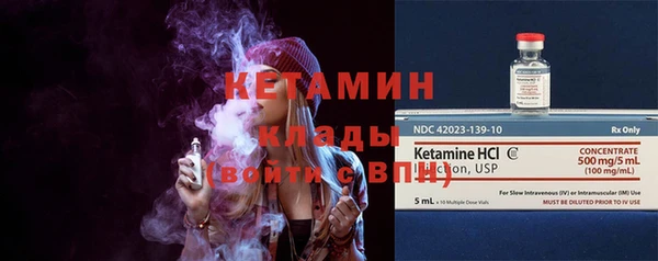 сатива Ельня