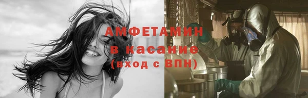 сатива Ельня