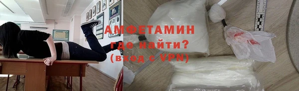 сатива Ельня