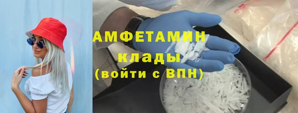 сатива Ельня