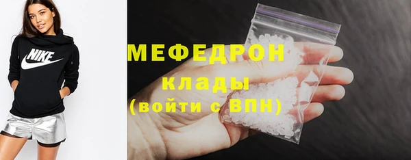 сатива Ельня