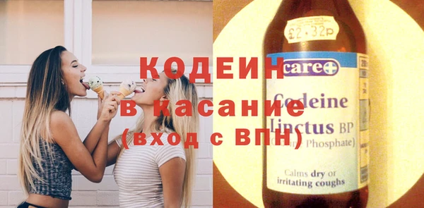 сатива Ельня