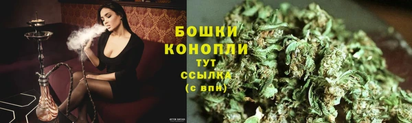 сатива Ельня